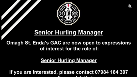 Hurling Manager