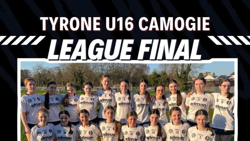Big Week For Camogs