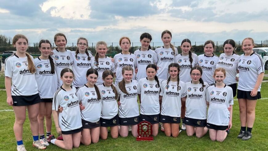 Féile Fundraising