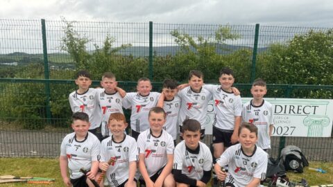Busy Weekend For Young Hurlers